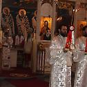 Празник Светог Трифуна у Карловцу