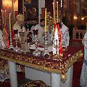 Празник Светог Трифуна у Карловцу
