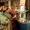Епископ Хризостом за Сретење Господње служио у Мачковцу