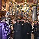 Сабрање свештенства намесништава косовскомитовичког и пећког