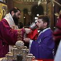 Исповест свештеника намесништва београдског другог