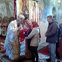 Епископ Јоаникије: Морамо се борити за част и образ Цркве