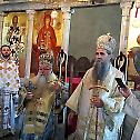 Епископ Јоаникије: Морамо се борити за част и образ Цркве