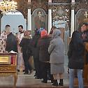 Недеља Православља у Трпињи
