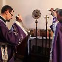 Исповест свештенства у Рипњу