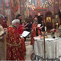 Pentecost 2015 at New Gracanica Monastery