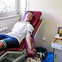 Петровданска акција давалаца крви