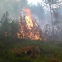 Пожар у близини манастира Студеница