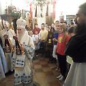 На Цетињу oдржан 16. православни дјечји сабор
