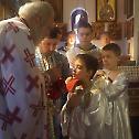 Прослава Светог Нектарија Егинског у Бошњану