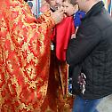 Епископ Хризостом у Доњој Трнови