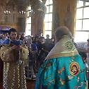 Ваведење радосно прослављено у Волонгонгу