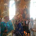 Ваведење радосно прослављено у Волонгонгу