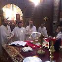 Недеља Светих Праотаца у рукоположење у Загребу