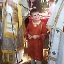 Сабор Пресвете Богородице у манастиру Светог Саве у Илејну