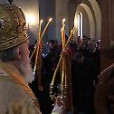 Патријарх Иринеј служио у цркви св. Атанасија у Земуну