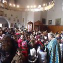 Празник Светог Саве у Далмацији