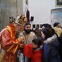 Празник Света Три Јерарха у Никшићу