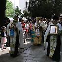 Врбица у Саборној цркви у Београду