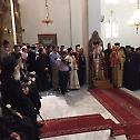 Metropolitan Amfilohije attended enthronements in Fier and Elbasan (Albania)
