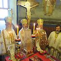 Свети Владика Николај прослављен у својој задужбини 