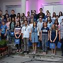 Видовданска академија у Нишу 