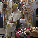 Saint Vitus Day solemnly celebrated at Lazarica Church in the Zvezdara district