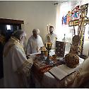 Патријарх Иринеј началствовао Литургијом на Светог Кирила Александријског