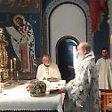 Епископ Теодосије служио у Ваведењском манастиру