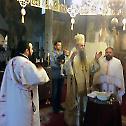 Молитвено сабрање у манастиру Милешеви