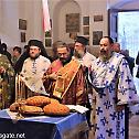 Светкован празник Свете Катарине у Јерусалиму и на Синају