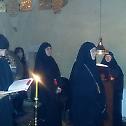 Ктиторска слава у манастиру Ковиље