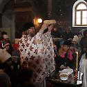 Свети Сава свечано прослављен у Александровцу