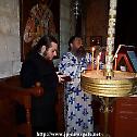Saint Anthony's feast at the Patriarchate of Jerusalem