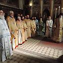 The feast of the Meeting of our Lord solemnly celebrated in Novi Sad