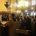 Celebration of Saint Sava in the Cathedral church in Vienna