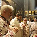 Celebration of Saint Sava in the Cathedral church in Vienna