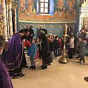 Дан дечјег причешћа у ваљевским храмовима