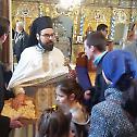 Недеља Православља у Световаведењском манастиру у Сремским Карловцима