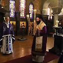 Holy Sacrament of Confession at the Patriarchate Chapel