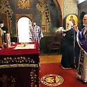 Holy Sacrament of Confession at the Patriarchate Chapel
