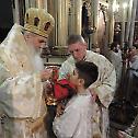 The Sunday of Orthodoxy liturgically celebrated in Novi Sad