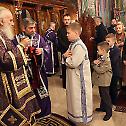 Исповест свештенства намесништва  београдског другог  