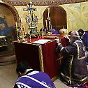 Патријарх Иринеј богослужио крај моштију Светог Деспота