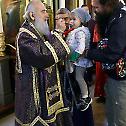 Патријарх Иринеј богослужио крај моштију Светог Деспота