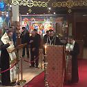Цирих: Канон Светог Андреја Критског