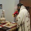 Епископ Силуан посетио манастир Илајн