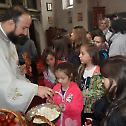  Прослава Васкрса у парохији огулинској 