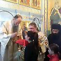 Литургијско сабрање у манастиру Златеш