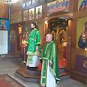 Канонска посета епископа Луке парохијама у Бенелуксу